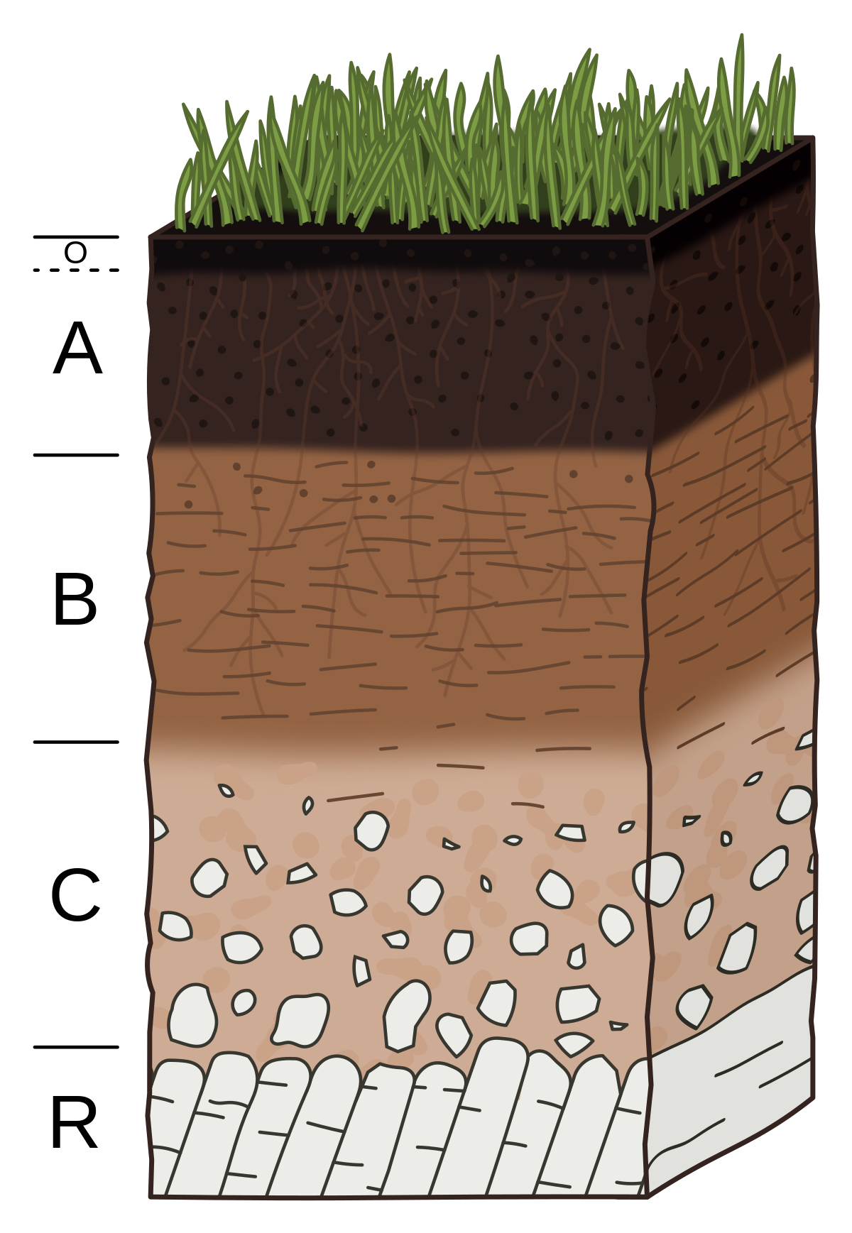 Какой слой почвы